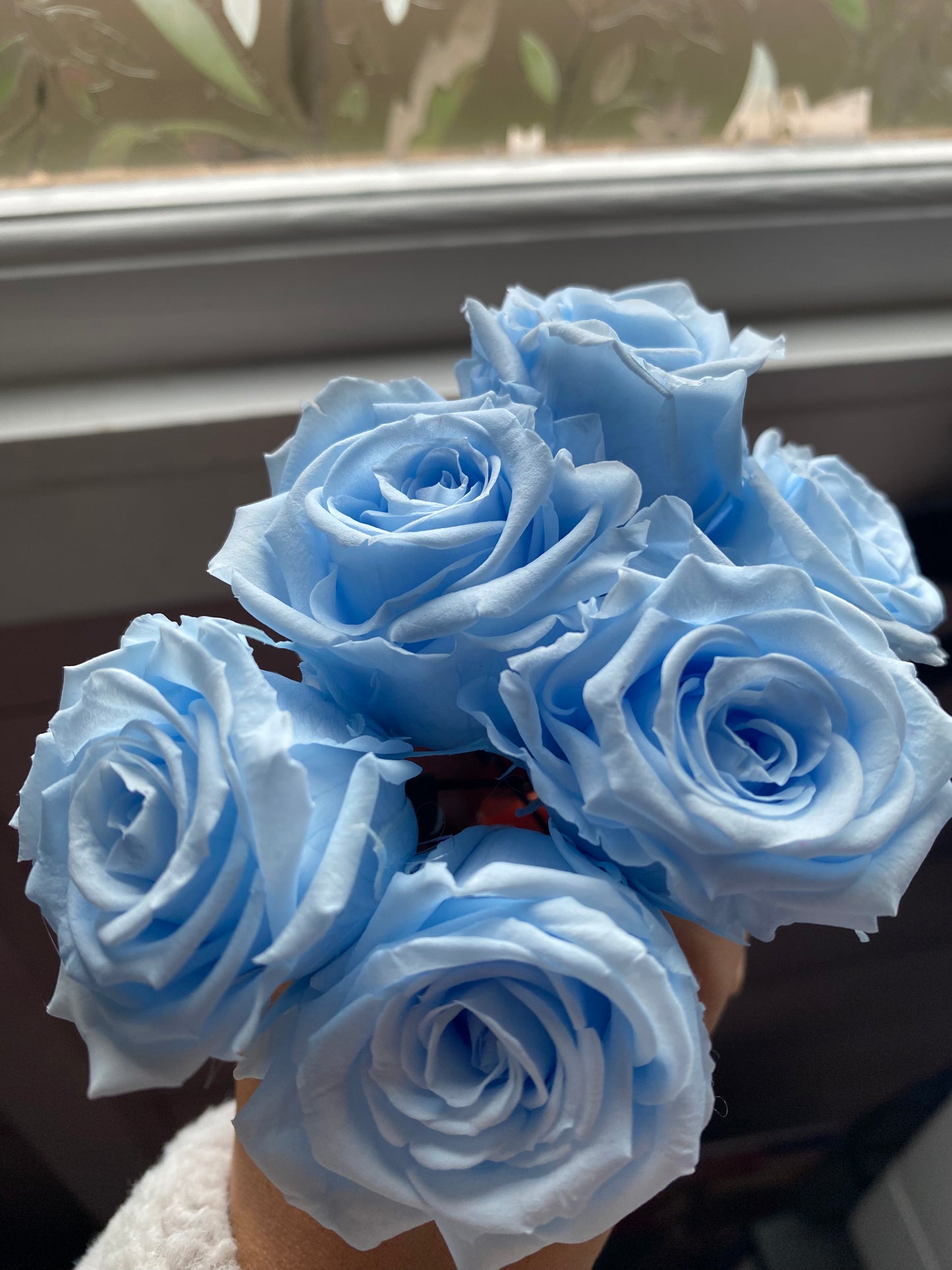 Forever rose baby blue hair pins x6